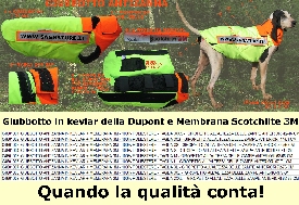 antizanna_we_blicita__web.jpg