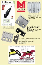 pdf_-_a4_-_moser_retro.jpg