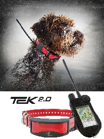 tek2_0_home_page.jpg