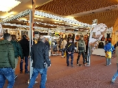 hunting_show_sud_2018_19.jpg