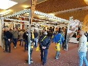 hunting_show_sud_2018_20.jpg