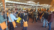 hunting_show_sud_2018_22.jpg
