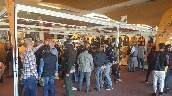 hunting_show_sud_2018_26.jpg