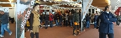 hunting_show_sud_2019_10.jpg