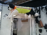2013-04-12_15_33_42.jpg