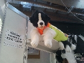 2013-04-12_15_33_49.jpg