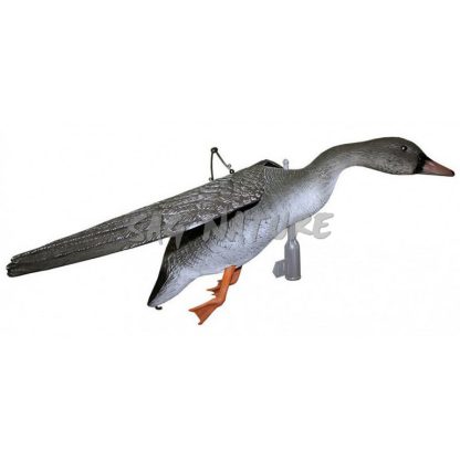 2007020 - OCA GRANAIOLA IN VOLO - FL 1050 - SPORT PLAST