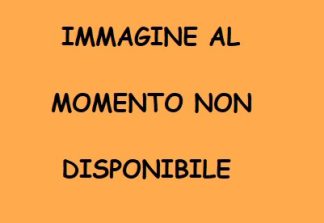 0305060 - CARTUCCIERA SU FASCIA NYLON CON MARSUPIO CENTRALE IN PELLE - TUTTI I CALIBRI - SAG NATURE