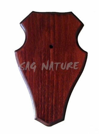 0501006 - SCUDO/TAVOLA PER TROFEO IN LEGNO MASSICCIO  COLORE SCURO PER CAPRIOLO - 12X19 CM - FATTO A MANO