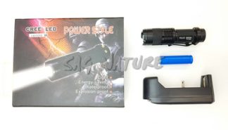 0801024 - TORCIA-LAMPADA TASCABILE CON BATTERIA RICARICABILE E CARICABATTERIA A 220V - LOWCOSTLAMP