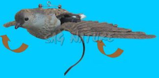 1002018 - ALLODOLA IN PLASTICA ELETTRICA ALI ROTANTI - FUNZ. CON 12V