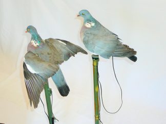 1002049 - COLOMBACCIO IN PIUMA A STANTUFFO SVOLATTINO CON RADIOCOMANDO - Attualmente non disponibile se vuoi prenotare il prodotto invia WhatsApp al +39 3286953793<a href="https://api.whatsapp.com/send?phone=393286953793"><strong>WhatsApp<br>3286953793<br>Da cellulare</strong></a>