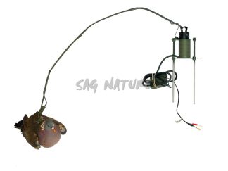 1002059 - GIOSTRA SVOLATTINO 1 COLOMBACCIO O PAVONCELLA RADIOCOMANDATO