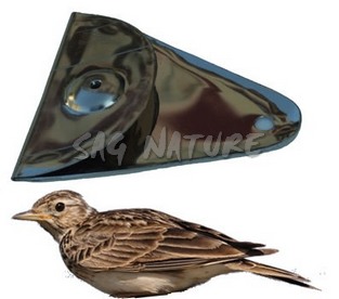 1301013 - ALLODOLA IN METALLO NICHELATO, TIPO "PALERMITANA" - CF 5 PEZZI - PREZZO SINGOLO