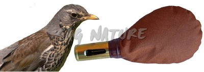 1301062 - CESENA BORSA PELLE, VOCE OTTONE