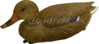 1713001 - GERMANO FEMMINA 7315 - STAMPISAG