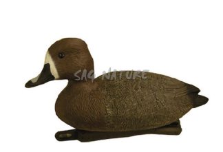 1713005 - MORIGLIONE FEMMINA 7820H - STAMPISAG