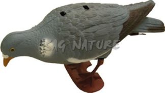 1713018 - COLOMBACCIO BECCANTE 7817S - STAMPISAG