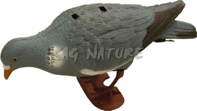 1713018 - COLOMBACCIO BECCANTE 7817S - STAMPISAG