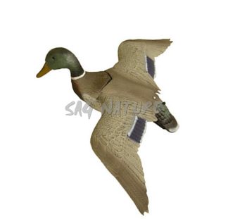 1713023 - GERMANO MASCHIO POSATO ALI APERTE 7857 - STAMPISAG