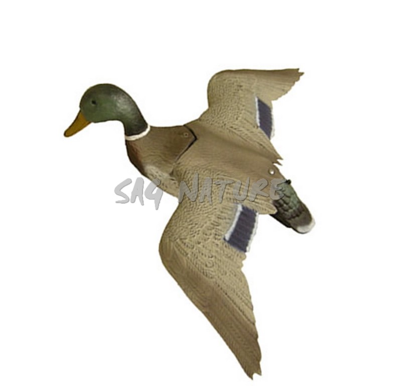 1713023 - GERMANO MASCHIO POSATO ALI APERTE 7857 - STAMPISAG