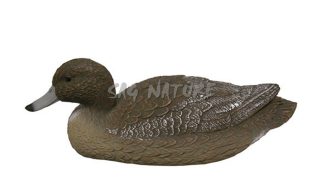 1713035 - FISCHIONE FEMMINA 7812F - STAMPISAG