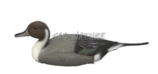 1713036 - CODONE MASCHIO 78295-RA - STAMPISAG