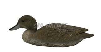 1713037 - CODONE FEMMINA 78296-RA - STAMPISAG