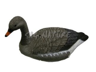 1713041 - OCA GRANAIOLA A CONCHIGLIA CON COLLO ALTO - DA CAMPO 78573C - STAMPISAG