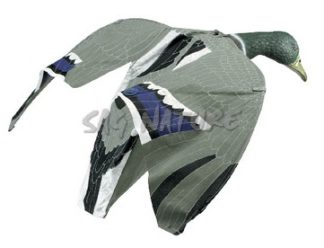 1713051 - GERMANO MASCHIO ULTRA LEGGERO CON MOVIMENTO ALI A VENTO - ART. DUCK MAGNETS