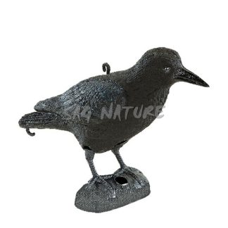 1713068 - CORVO NERO - STAMPISAG