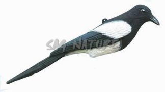 1713073 - GAZZA - STAMPISAG