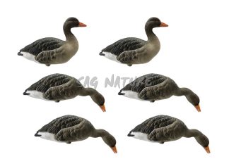 1713082 - SET OCA DA CAMPO 1713082 - CORPO PIENO CON DIVERSE POSIZIONI FLOCKED - CONFEZIONE DA 6 PEZZI - FINAL APPROACH - FA229283