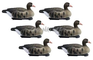 1713084 - SET OCA LOMBARDELLA - CONFEZIONE DA 6 PEZZI - FINAL APPROACH FA197262