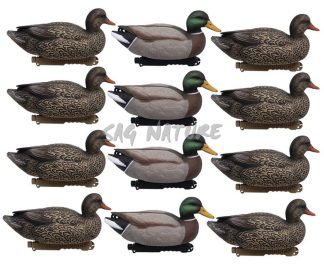 1713085 - SET GERMANO MASCHIO E FEMMINA ULTIMO PASSO - CONFEZIONE DA 12 PEZZI - STAMPO 32 CM - FINAL APPROACH FA213000