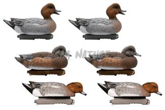 1713088 - SET FISCHIONE MASCHIO E FEMMINA EVA - CONFEZIONE DA 6 PEZZI - FINAL APPROACH FA212510