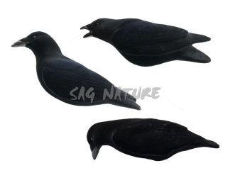 1713092 - SET CORVO FLOCKED - CONFEZIONE 3 PEZZI - FINAL APPROACH - FA194002