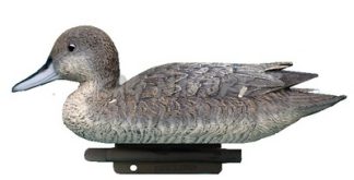 2001004 - CODONE FEMMINA 34 CM STD04 SPORTPLAST