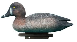 2001008 - MORIGLIONE FEMMINA 35,5 CM STD08 SPORTPLAST