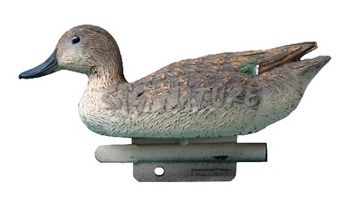 2001010 - ALZAVOLA FEMMINA 24,5 CM STD21 SPORTPLAST