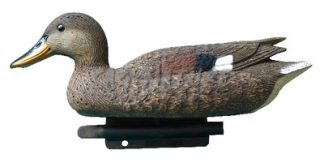 2001016 - CANAPIGLIA FEMMINA 34 CM STD81 SPORTPLAST