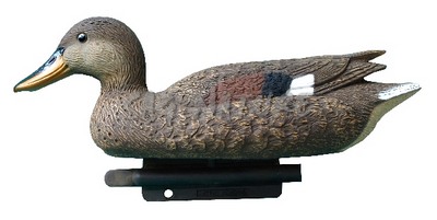 2001016 - CANAPIGLIA FEMMINA 34 CM STD81 SPORTPLAST