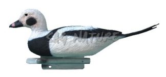 2001030 - MORETTA CODONA MASCHIO 43 CM STD119 SPORTPLAST - STAMPO MARINO