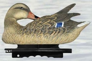 2001061 - GERMANO MASCHIO IN PULIZIA PR 01 SPORTPLAST