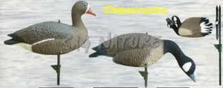 2002009 - OCA GRANAIOLA A CONCHIGLIA A UN PEZZO SH1P150 SPORTPLAST