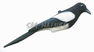 2003001 - GAZZA 110-00 SPORTPLAST - PREZZO SINGOLO