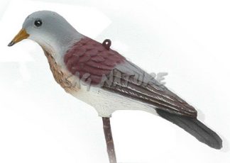 2003003 - CESENA 44-00 SPORTPLAST