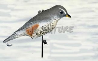 2003005 - TORDO SASSELLO 51-00 SPORTPLAST