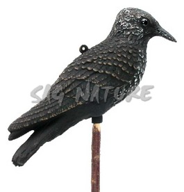 2003006 - STORNO 43-00 SPORTPLAST