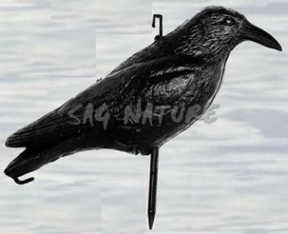 2003019 - CORVO ECONOMICO LC750 SPORTPLAST